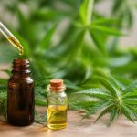 Huile essentielle cbd : utilisations, bienfaits et précautions à connaître